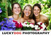 Lucky Dog Photography 1060174 Image 2